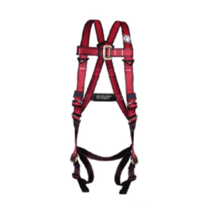 Arnes 1 D anillo 5 puntos de ajuste Golden Eagle PC100K