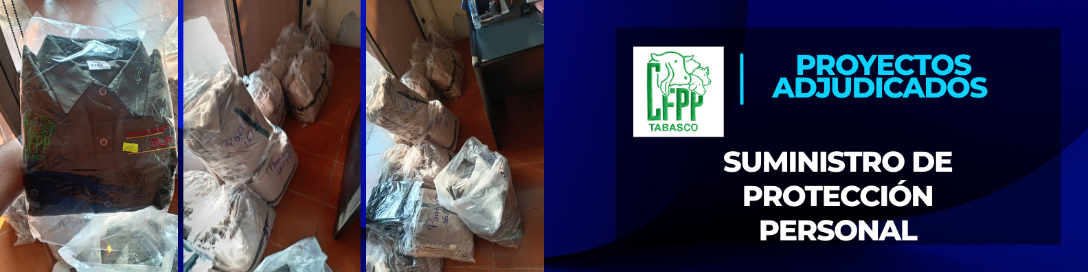 Proyecto suministro de material de limpieza cecyte (1)